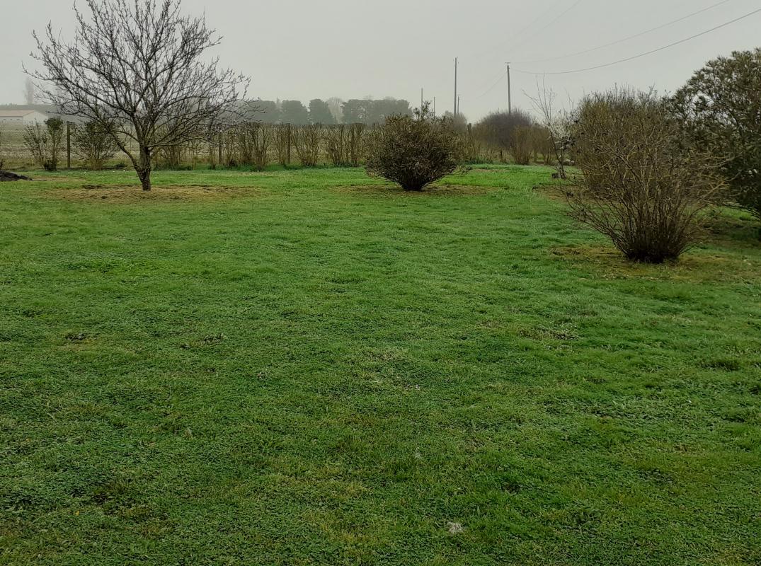 Terrain à vendre à Baziege Maisons terre d Oc